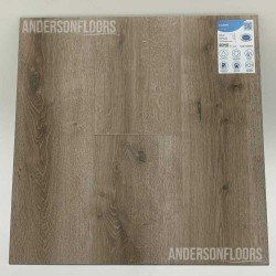 Sono Eclipse - Canim Sono Eclipse - Canim